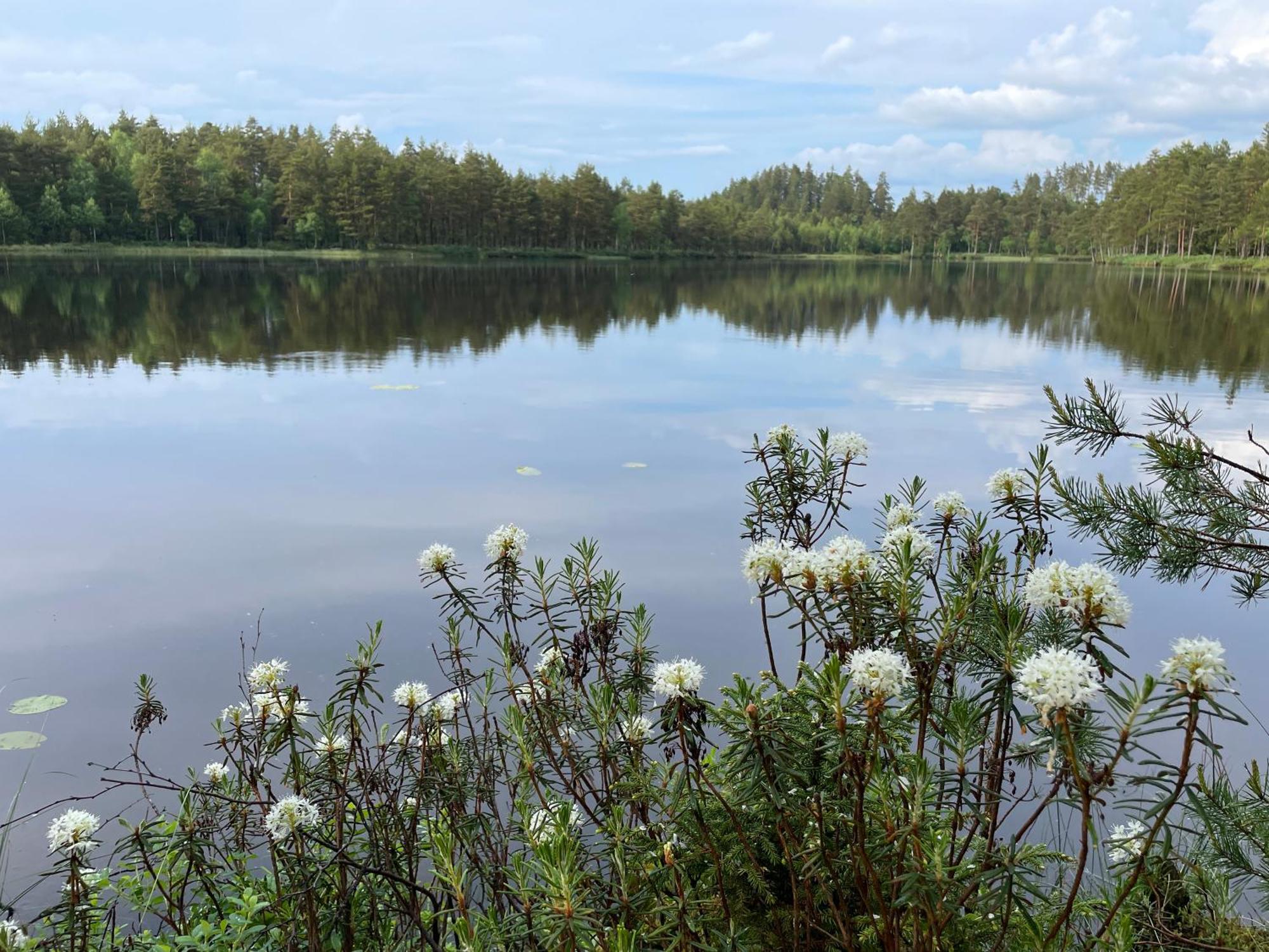 Smålandstorpet Villa Hok Exteriör bild