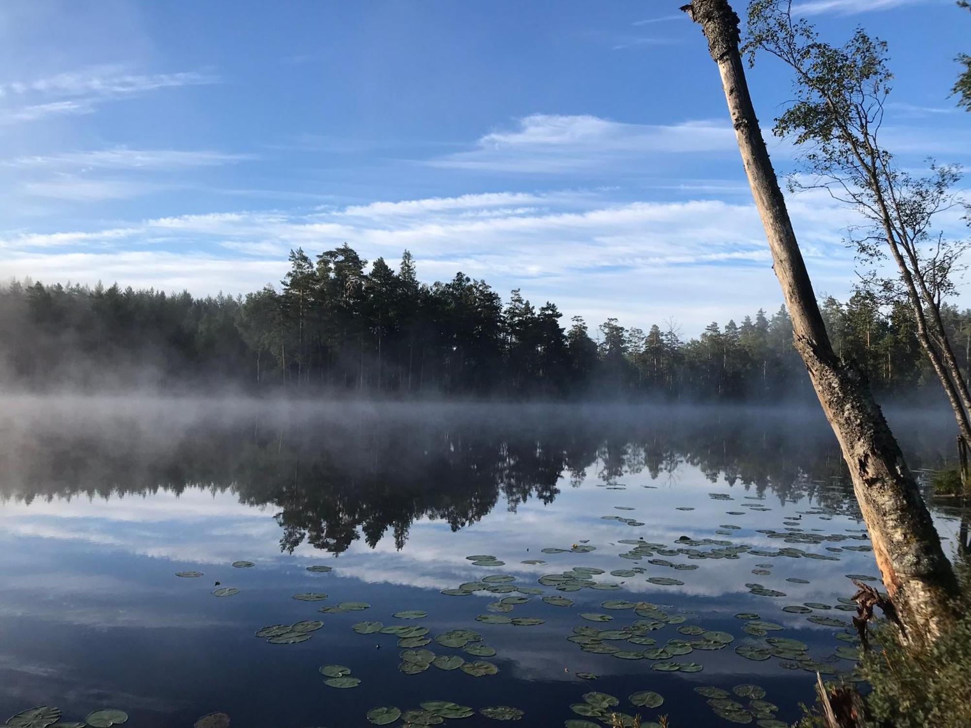 Smålandstorpet Villa Hok Exteriör bild