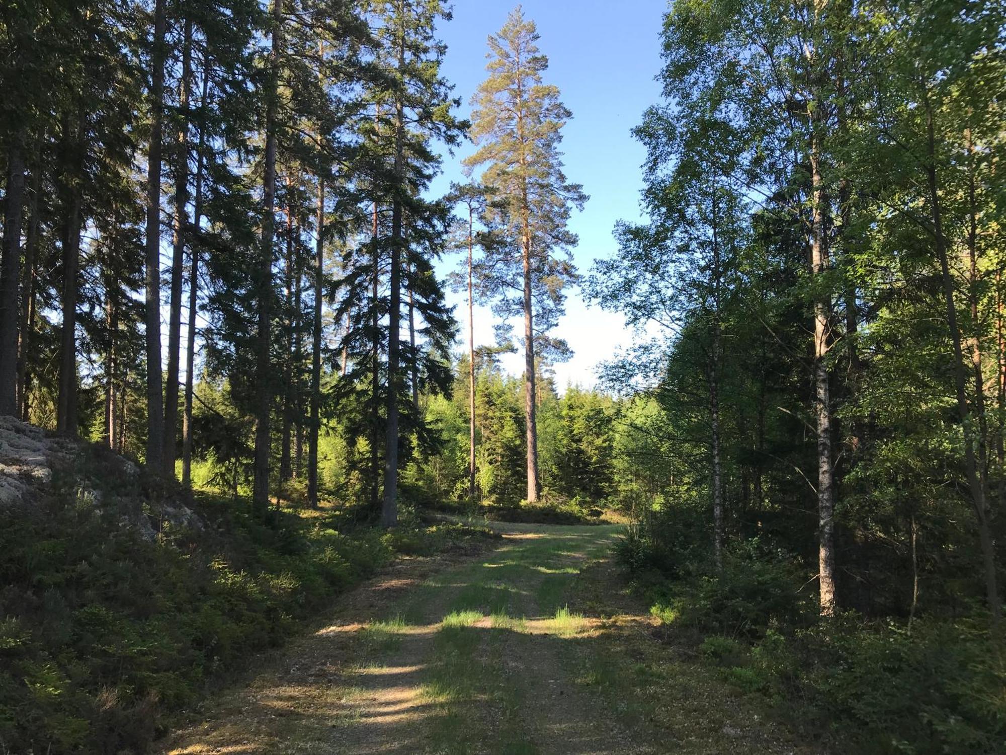 Smålandstorpet Villa Hok Exteriör bild