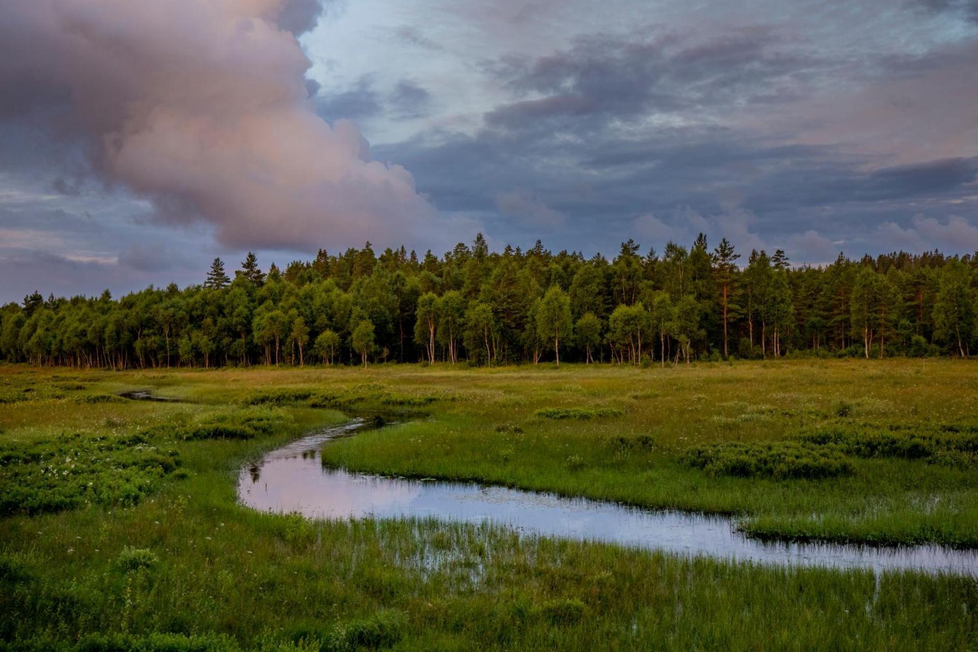 Smålandstorpet Villa Hok Exteriör bild